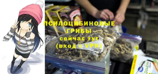 гашик Медвежьегорск