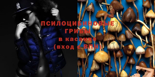 прущие крисы Мегион